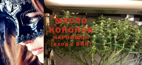индика Каменск-Шахтинский