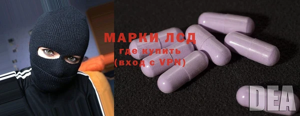 spice Инсар