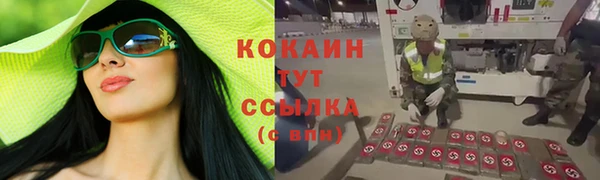 дживик Инта