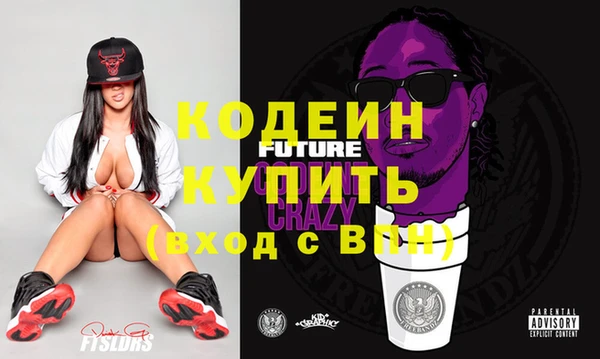 индика Каменск-Шахтинский